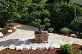 Gartengestaltung