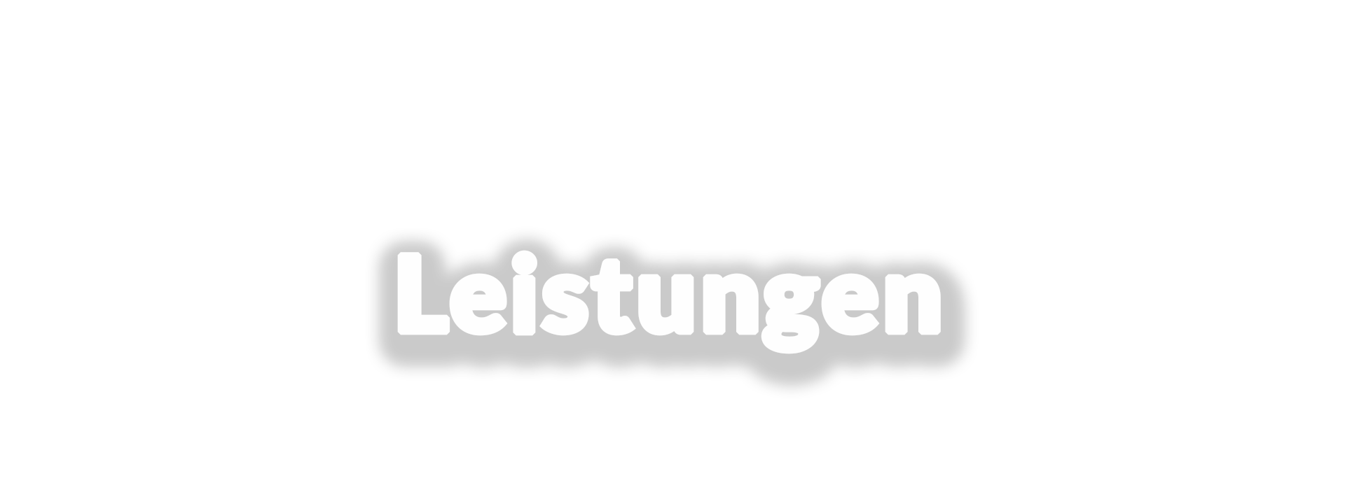 Leistungen